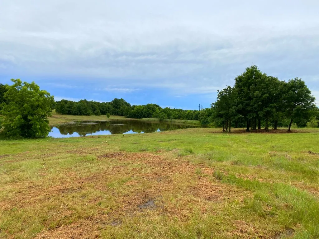 159.83 Acres in Murray County Oklahoma just East of Wynnewood, Oklahoma