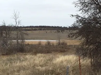 70 Acres in Jacksboro