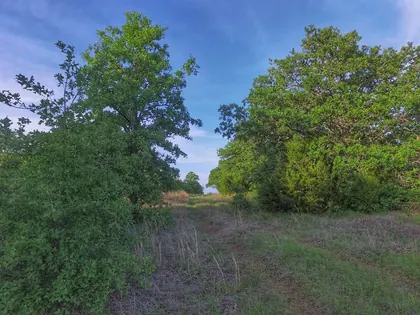 38.24 Acres of the Jim Harry Loop Ranch Located in Montague County 10 miles Alvord, Texas