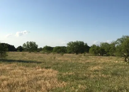 73.38 Acres in Newport, Texas
